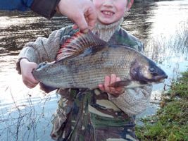 Scottish grayling 1.jpg